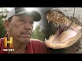 Troy and Pickle's Alligator Adventure