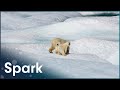 Climate Change and Its Impact