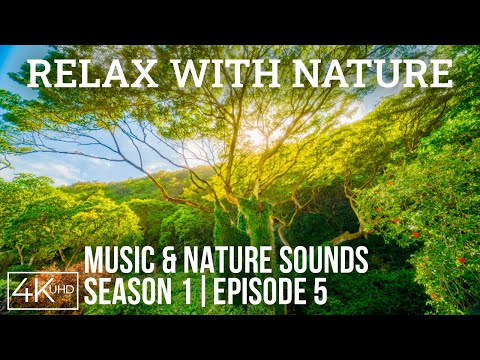 Stunning Views + Piano Music for Concentration, Work & Study - 4K Relax with Nature - Episode 5