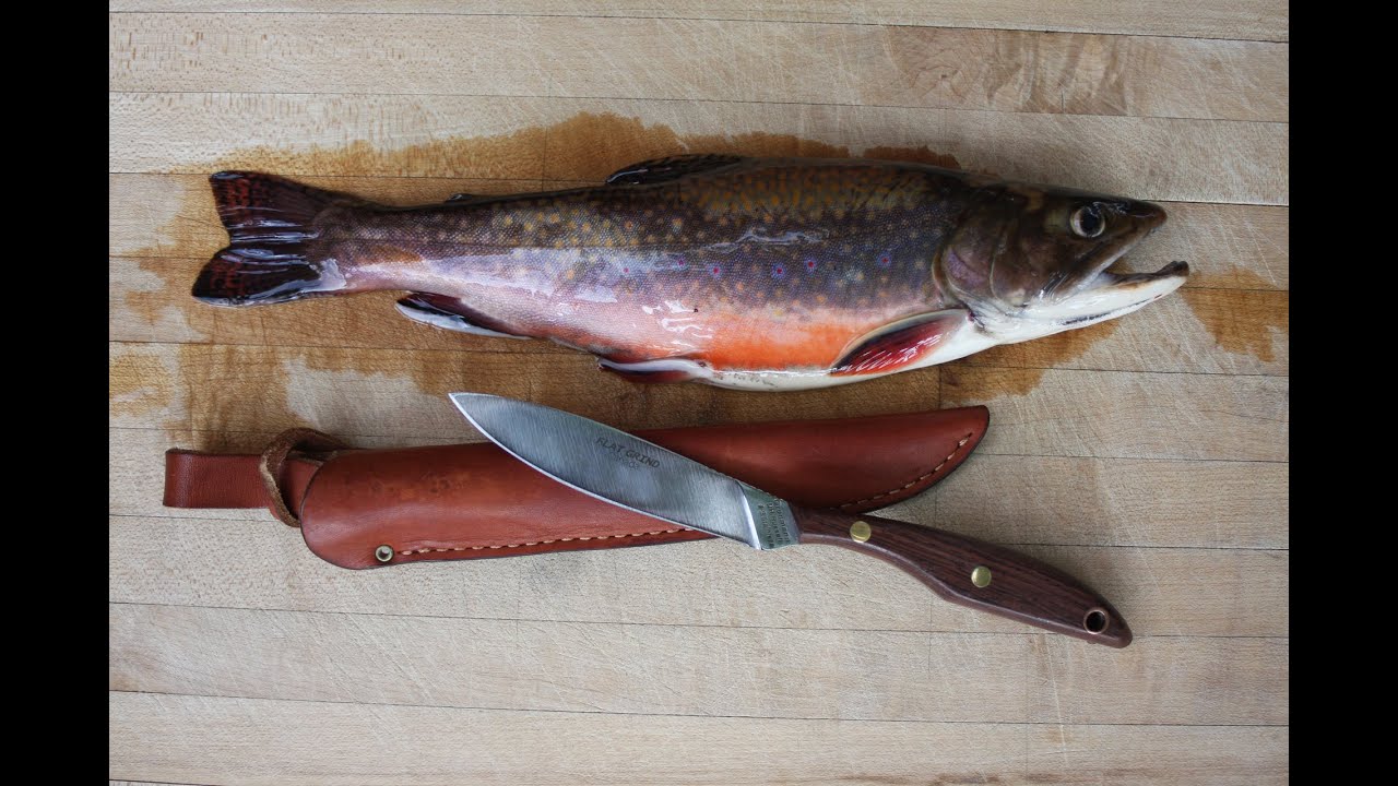 How to Catch A Limit of Brook Trout: Summer Edition (Part 1 of 4)