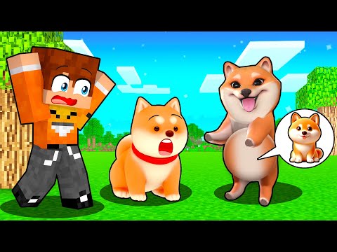 DZIEWCZYNA SHIBY JEST W CIĄŻY w Minecraft 🦴💗