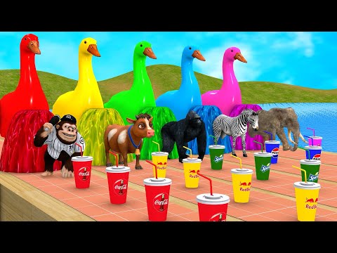 Long Slide Game With Cow Elephant Gorilla Hippopotamus Tiger - 3d Animal Game - Funny 3d Animals