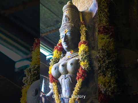 Meenakshi Amman Mystery | #temple #facts #mystery #tamil #amazingfacts