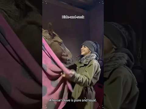 When a horse becomes your BFF#horse#love