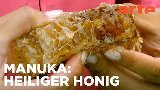 Neuseeland: Der Schatz der Maori | Die Bienenflüsterer Reupload | ARTE Fernweh