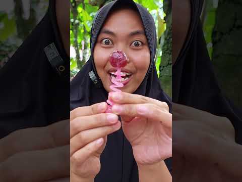 Makan Permen per, permen terkeras sedunia