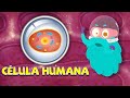 Understanding Cells