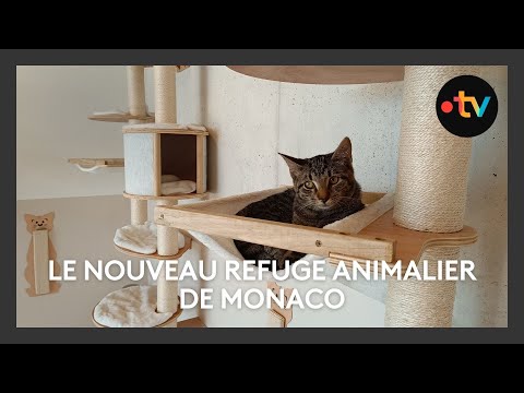 La SPA de Monaco inaugure un nouveau refuge pour chats et chiens