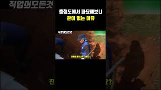 충청도에서 파묘해보니 관이 없는 이유
