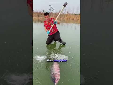 صيد السمكة العجيبة تحت الجليد ❄️🐟