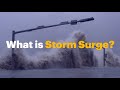 Hurricanes and Storm Surge Dynamics
