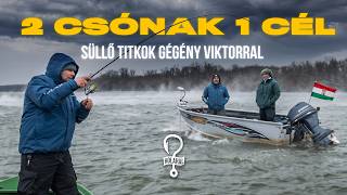 Holahal? 68 - A dunai süllő pergetés titkai - Gégény Viktor megtanítja!