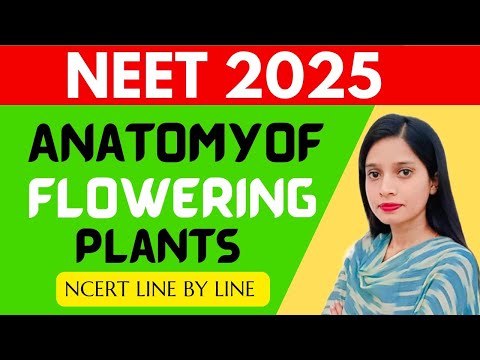 ANATOMY OF FLOWERING PLANTS 01- CLASS 11 | CBSE | NCERT | NEET 2025 | HANDWRITTEN FREE NOTES