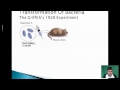 DNA and Genetic Material Discoveries