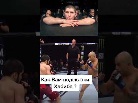 подсказки Хабиба в бою Ислама Махачева #shorts
