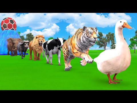 Cow Elephant Tiger Gorilla Hippo Buffalo 3d Animal Crossing Fountain - Funny 3d Paint Animal Game