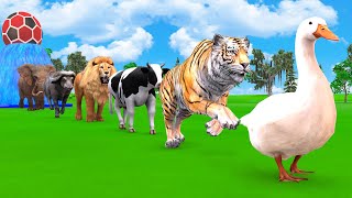 Cow Elephant Tiger Gorilla Hippo Buffalo 3d Animal Crossing Fountain - Funny 3d Paint Animal Game