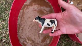 Oddly Satisfying ASMR