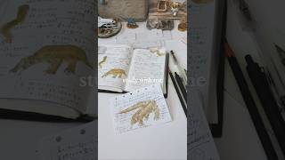 study with me｜東山動物園のコモドオオトカゲ“タロウ”に会ってきた