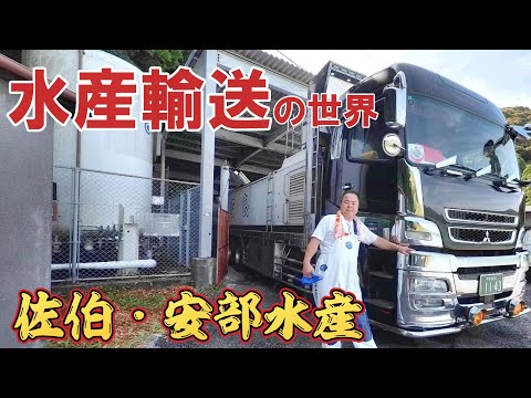【水産輸送の男たち】大分佐伯の水産会社へ潜入！初めて見る養殖場は圧巻だった。