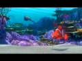 Comprensión del Video: Despedidas y Aventuras