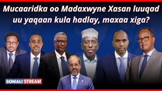 Mucaaridka oo Madaxweyne Xasan kula hadlay luuqad uu yaqaan, maxaa xiga?