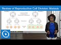 Meiosis Concepts and Genetic Variation