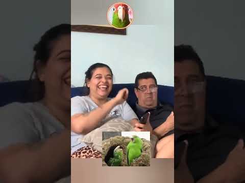 Olha o que esse pai fez para o filho#emotional#viralvideo#shorts#reels#funny#funnyshorts