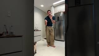 pedi um gato veio um cachorro