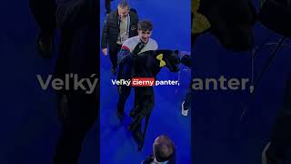 🏒 Adam Hagara odpovedal na krátke otázky #hagara #slovensko #krasokorculovanie