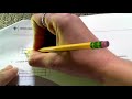 Dividing Whole Numbers and Visualizations