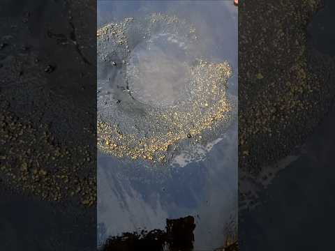 look,!!! I found a lot of gold in this small river which is extraordinary... #viralshort #gold