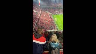 1. FC Köln - OGC Nizza Conference League | Choreo Südkurve Stimmung Ultras | Wilde Horde | Domstadt