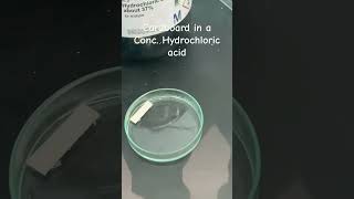 Cardboard in a conc. HCl 🤔☠️🔥💥