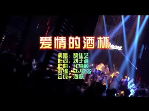 魏佳艺 《爱情的酒杯》DJ沈念版 KTV 导唱字幕 （备有伴奏视频）