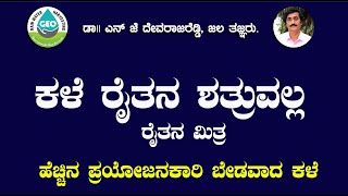 ಕಳೆ ರೈತನ ಶತ್ರುವಲ್ಲ , ರೈತನ ಮಿತ್ರ ಹೌದಾ ..!! ಅದು ಹೇಗೆ ನೀವೇ ನೋಡಿ . #farming #agriculture #news