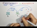 Endothermic and Exothermic Changes