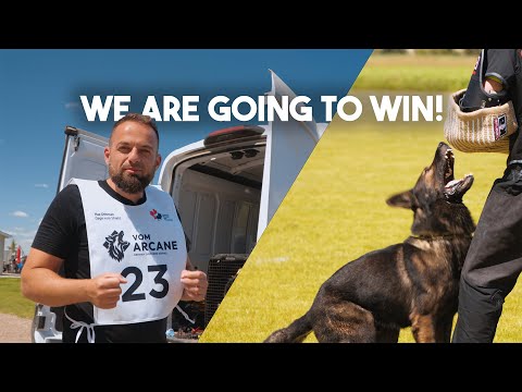 We are WINNING the CWDF! - Dog Sport Episode 5