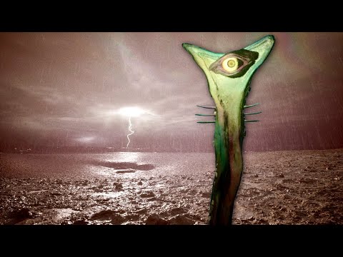 Open Trailer Video thumbnail