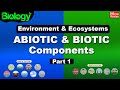 Ecosystem Functions and Organism Roles