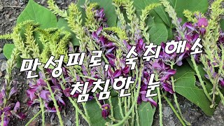 연로하신 어르신 많이 드시면 아프단 말씀 많이 줄어들 겁니다