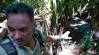 ESTOU ACAMPADO PRÓXIMO DE UM IGARAPÉ! QUERO PEGAR A COMIDA DE ARMADILHA. ARAPUCA, LAÇO E OUTRAS.