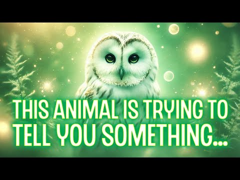 Seeing the Same Animal Repeatedly? Here’s What Spirit Animals Are Telling You About Your Energy