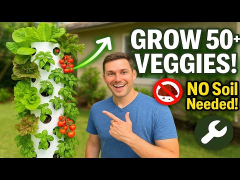 How to Build a Hydroponic Grow Tower 🥬 | Grow 50+ Veggies at Home Without Soil💧🍓 DIY Vertical Garden