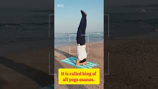 Headstand (Sirsasana)