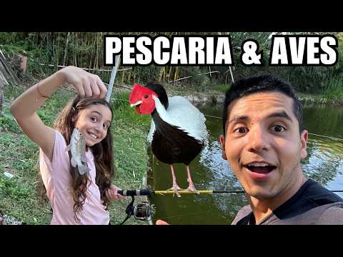 Pescaria no criadouro Aliança | Conhecendo as NOVAS AVES | Faisão Prata se exibindo | Aves Recriar