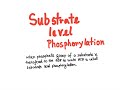 Glycolysis and Energy Production Concepts