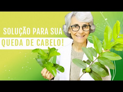 Chá da folha de goiabeira: solução para queda de cabelo