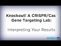 CRISPR-Cas9 Knockout Experiment Concepts