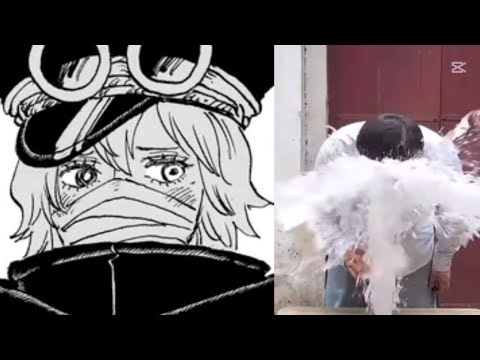 ワンピースキャラに対するピストンの違い（2025最新版）